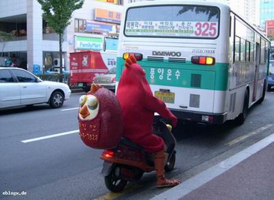 99071 vogel